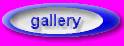 C:\Documenti\Documenti Giuseppe\PROJET\GALLERY.htm